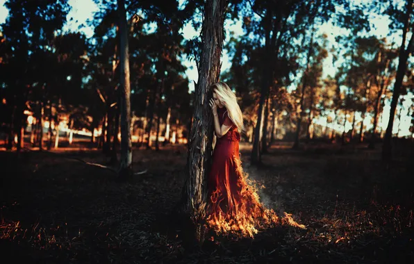 Листья, девушка, солнце, деревья, ветки, огонь, волосы, красное платье