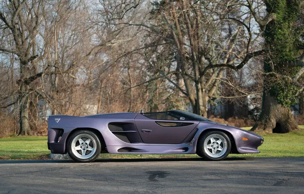 Roadster, Вектор, суперкар, supercar, Vector, 1993, Vector Motors Corporation, WX3