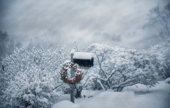 Зима, снег, Рождество, метель, венок, кусты, почтовый ящик