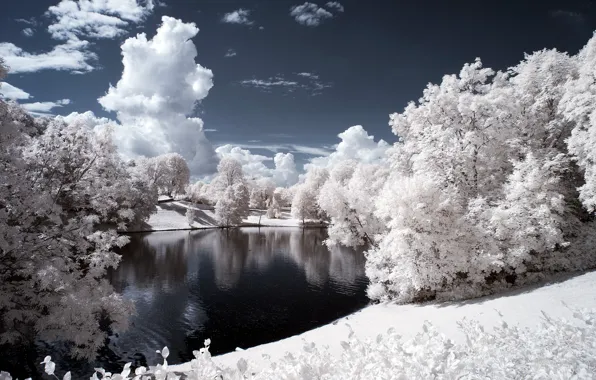 Картинка пейзаж, снег, зима, деревья, берег, вечер, облака, небо