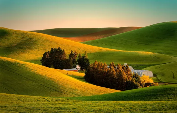 Картинка поле, природа, дом, вид, ферма