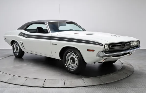 Белый, фон, Додж, 1971, Dodge, Challenger, передок, Muscle car