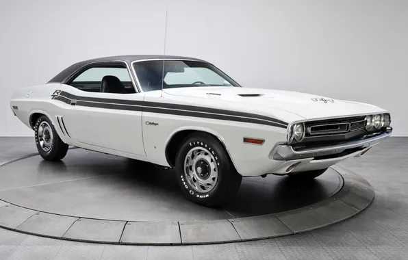 Картинка белый, фон, Додж, 1971, Dodge, Challenger, передок, Muscle car