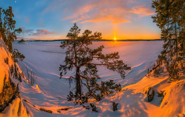 Картинка зима, снег, деревья, закат, озеро, сугробы, Россия, сосна