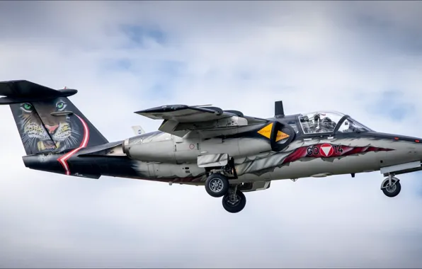 Тигр, Saab, Sky, Tiger, airshow