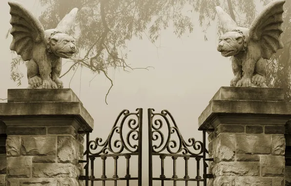 Gray, Spooky, Gate