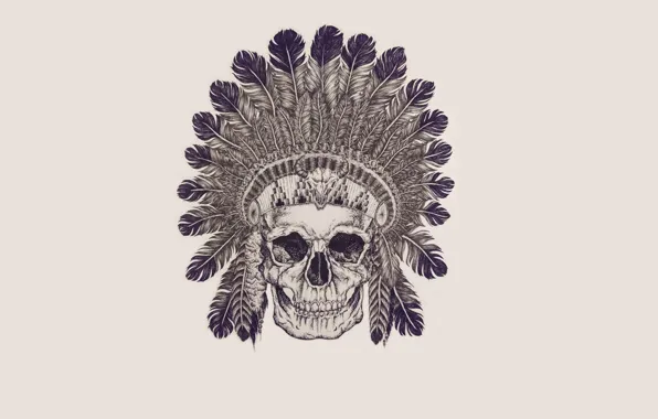 Череп, перья, скелет, skull, индеец, indian