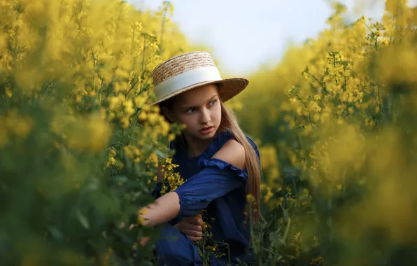 Картинка поле, лето, взгляд, природа, шляпа, платье, девочка, травы