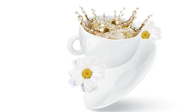 Цветы, брызги, чай, чашка, хризантемы