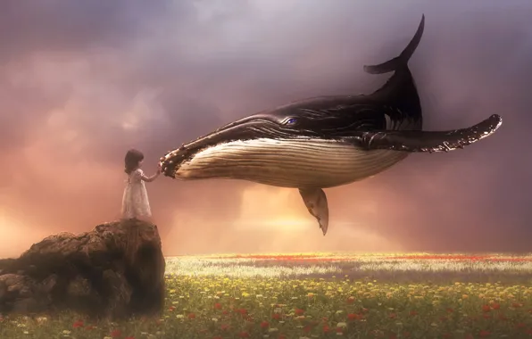 Картинка поле, небо, кит, девочка, прикосновение