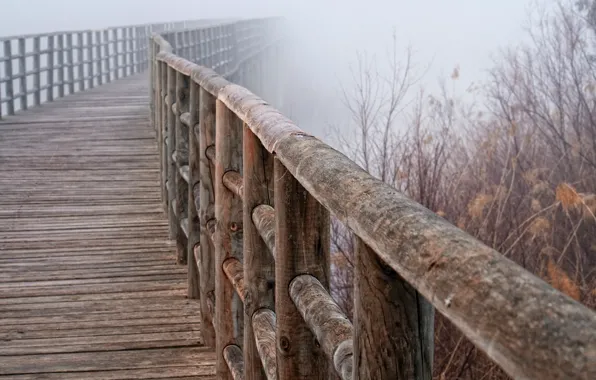 Макро, мост, туман, перила