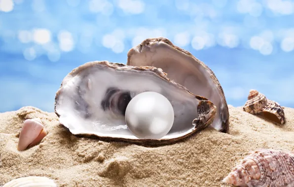 Ракушка, жемчуг, морская звезда, sunshine, beach, sea, sand, seashell