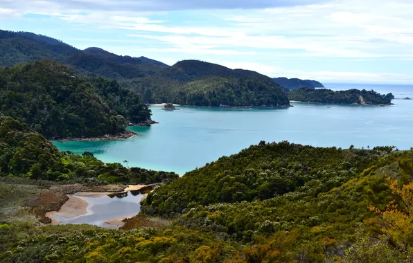 Море, побережье, Австралия, Tasman National Park