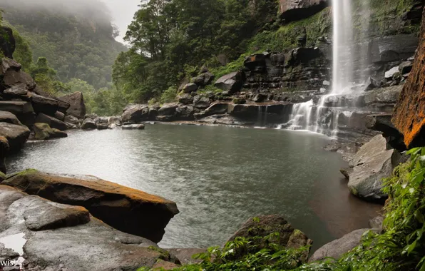 Лес, природа, камни, пасмурно, водопад, Belmore Falls, Wild Australia