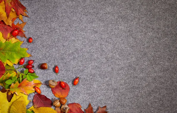 Картинка осень, листья, фон, шиповник, желуди