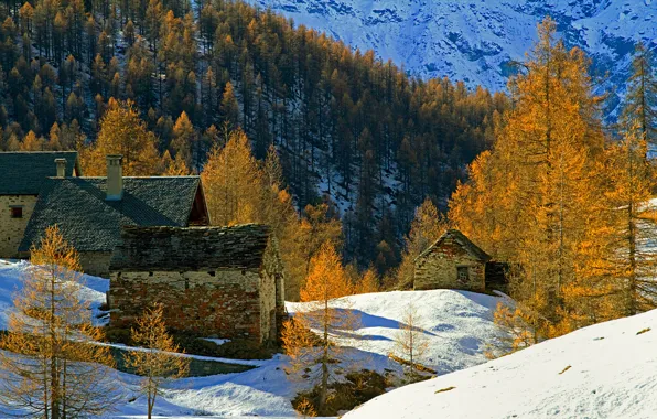 Осень, снег, деревья, горы, дома