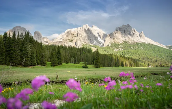 Картинка фото, Природа, Луга, Горы, Трава, Альпы, Италия, Пейзаж