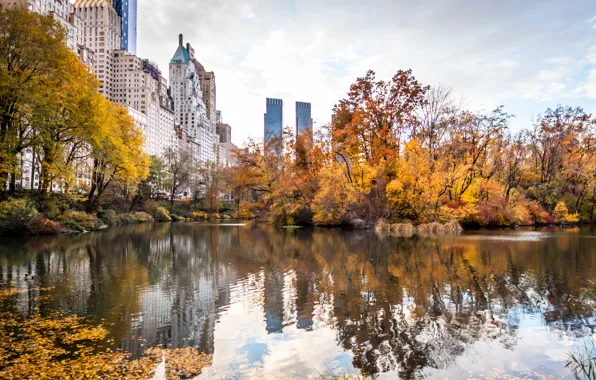 Картинка осень, город, парк, небоскребы, USA, америка, сша, New York City