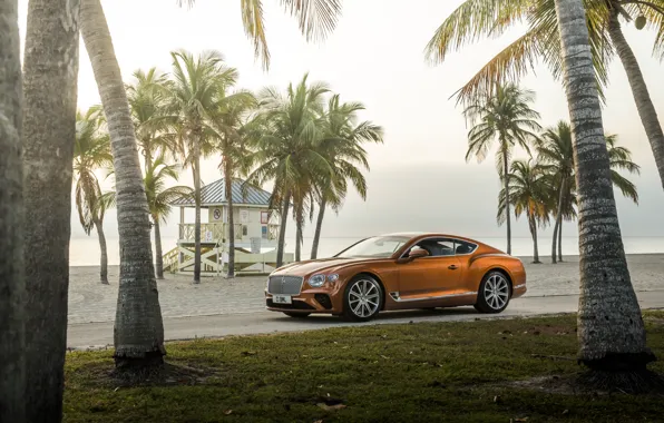 Машина, пляж, пальмы, купе, Bentley, Continental, GT V8