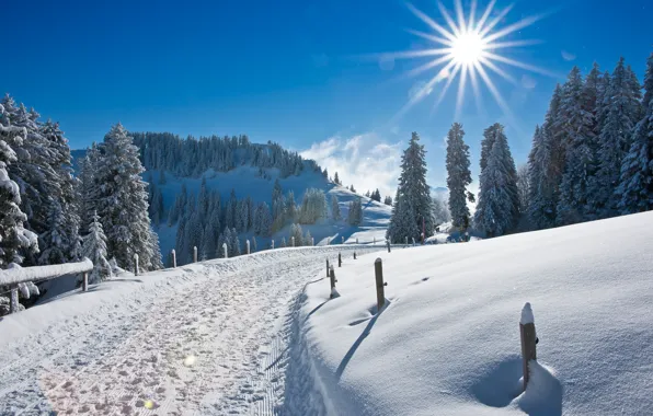Картинка зима, дорога, солнце, лучи, снег, природа, блики