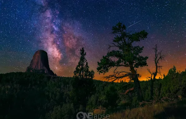 Картинка лес, небо, звезды, ночь, США, млечный путь, штат Вайоминг, памятник природы Башня Дьявола
