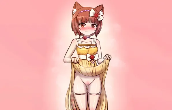 Girl, sexy, dress, legs, brown hair, brown eyes, animal ears, anime