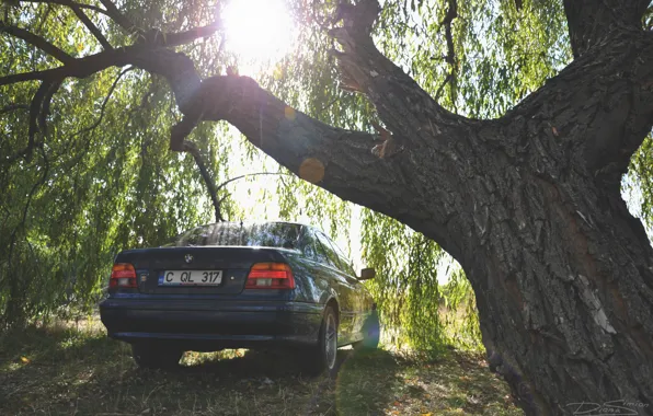 Авто, BMW, e39