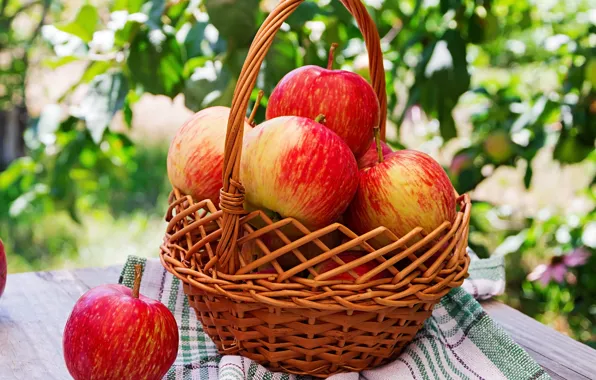 Листья, стол, яблоки, сад, урожай, красные, корзинка, скатерть
