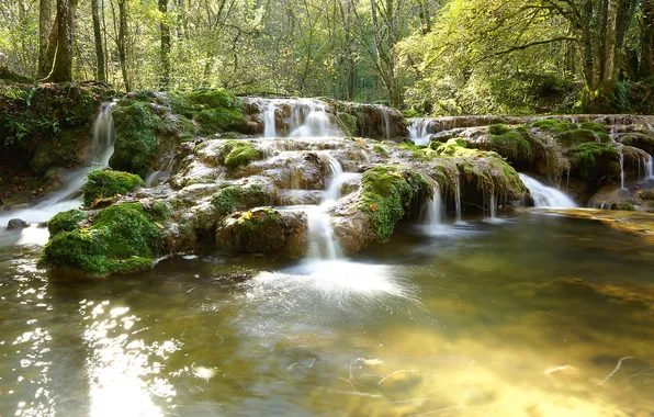 Картинка forest, river, nature, waterfall, stream