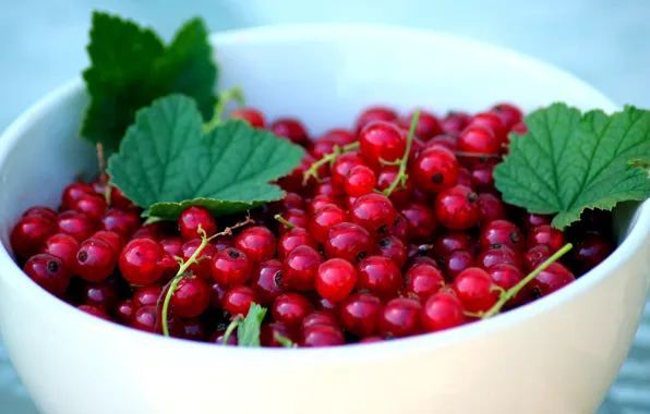 Листья, красный, ягоды, еда, урожай, чашка, миска, много