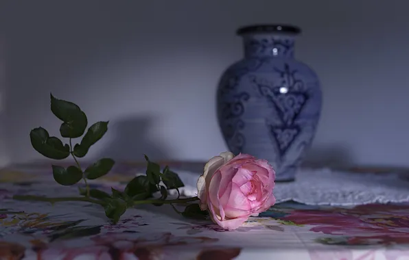 Цветы, фон, розы