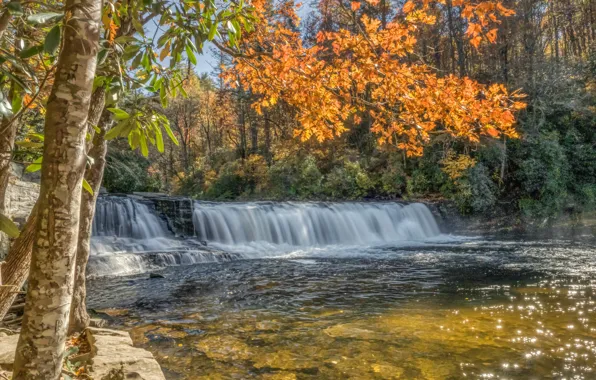 Осень, лес, деревья, ветки, река, водопад, каскад, North Carolina