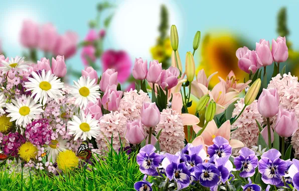 Grafika, kwiaty, tulipany