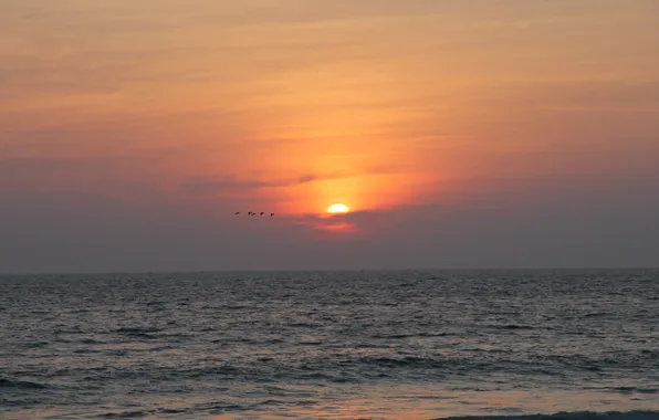 Картинка солнце, закат, птицы, природа, океан, Индия