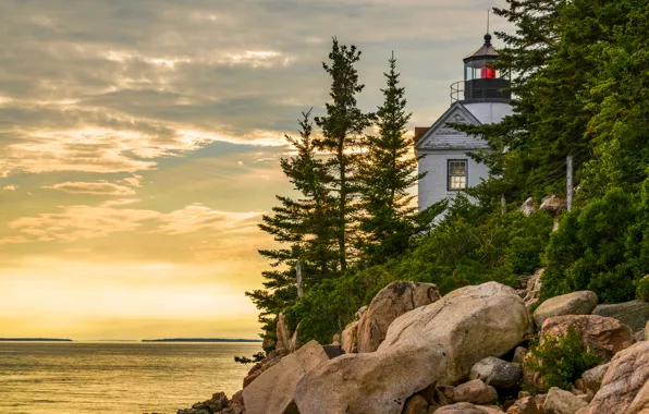 Море, деревья, камни, побережье, маяк, США, Acadia National Park, Bass Harbor