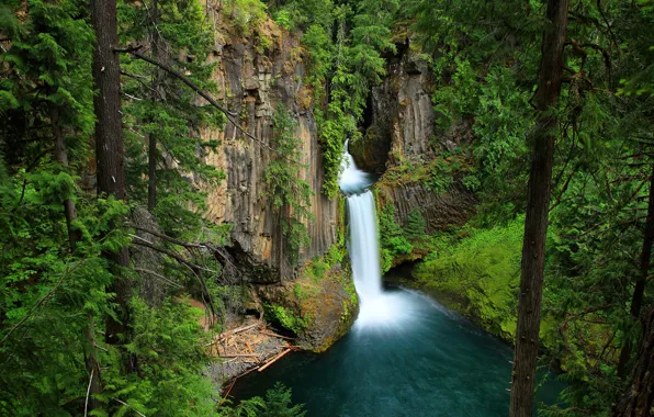 Зелень, лес, деревья, скала, камни, водопад, мох, США