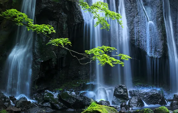 Ветки, камни, водопад, Япония, Japan, Tatsuzawa Fudo Falls