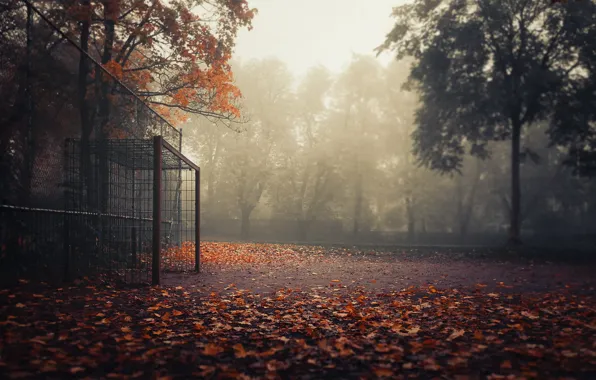 Осень, спорт, ворота