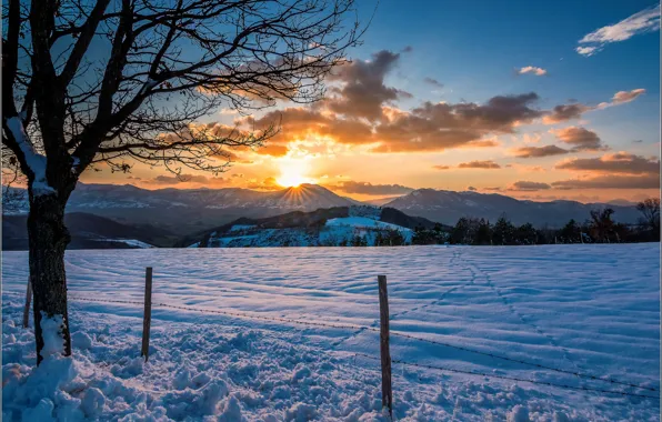 Картинка зима, поле, снег, закат, горы, дерево, столбы