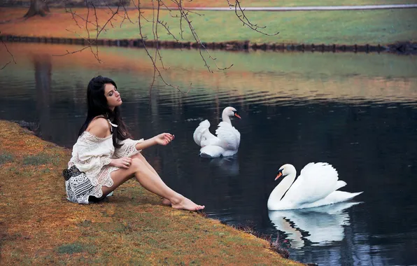 Картинка девушка, поза, озеро, сидит, лебеди