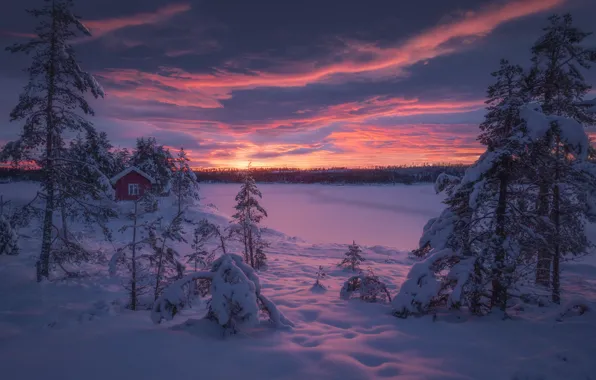 Снег, закат, Норвегия, Norway, Ringerike, Ole Henrik Skjelstad