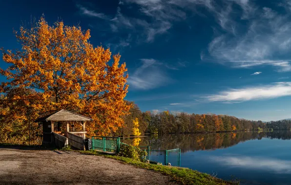 Картинка осень, лес, озеро, пруд, отражение, Чехия, беседка, Czech Republic