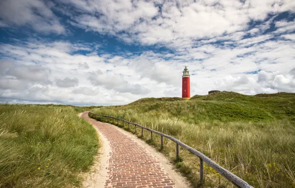 Картинка трава, маяк, Голландия, нидерланды, Eierland