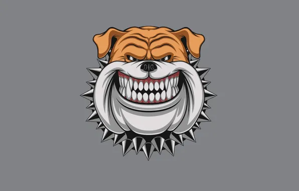 Морда, собака, минимализм, шипы, ошейник, dog