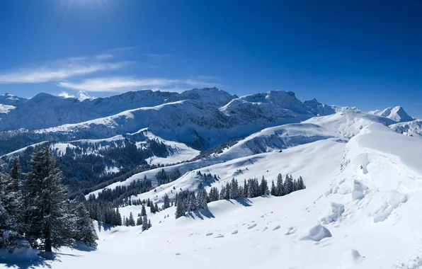 Картинка снег, деревья, Горы, лучи солнца