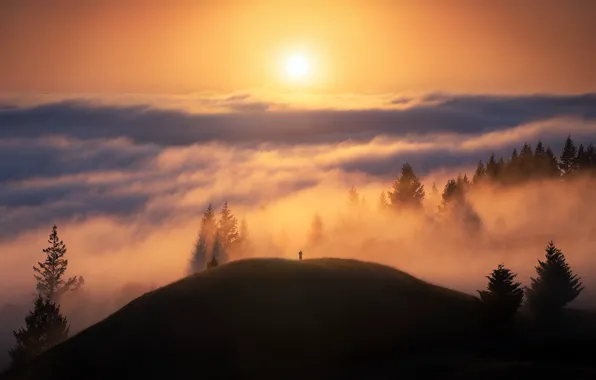 Hills, California, silhouette, photography, trees, sky, mist, men