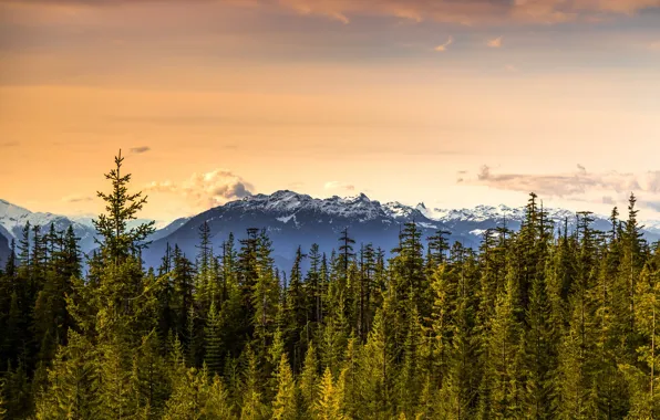 Canada, British Columbia, Squamish