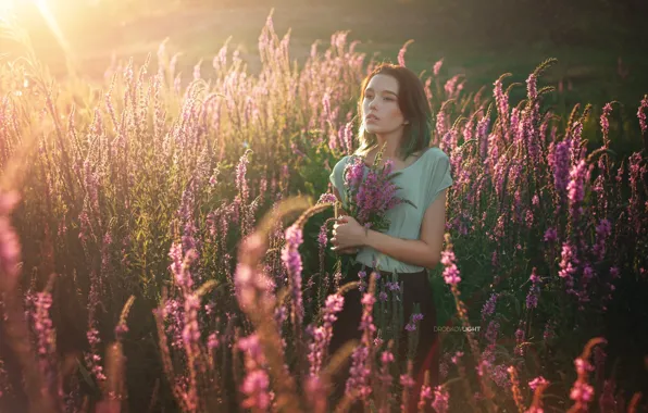 Картинка девушка, цветы, настроение, луг, Alexander Drobkov-Light, Мария Ларина