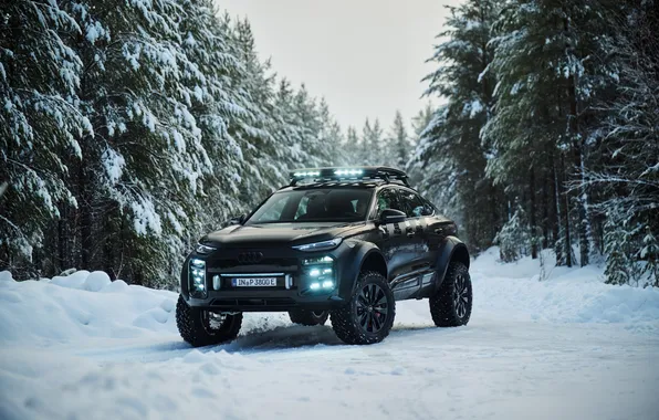 Concept, внедорожник, e-tron, offroad, SUV, 2025, Audi Q6 e-tron offroad concept, Audi Q6