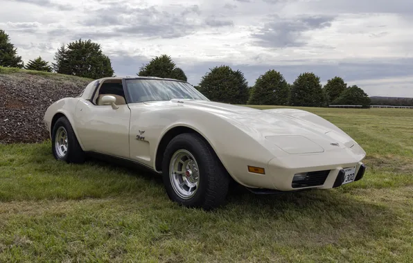 Картинка Corvette, Chevrolet, передок, Stingray